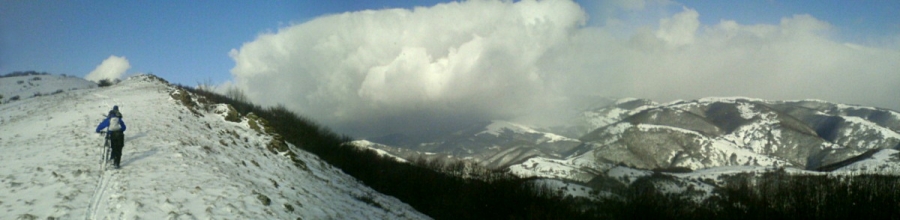 Снимка на седмицата (3 - 9 март 2008 г.)